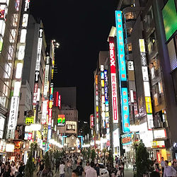 Another View of Shibuya Crossing
